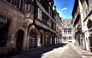 Dig Burgundian Roof Main