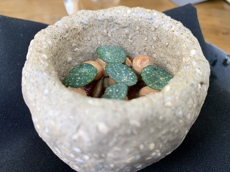 Roe Deer With Coal Tar From The Tasting Menu At Lenclume A Three Michelin Star Restaurant At Cartmel Cumbria