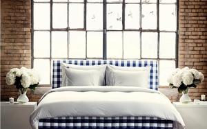 2025 11 28 Vividus Interior