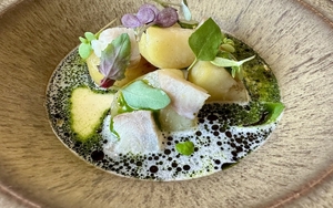 2024 06 18 Skof Review Thumbnail