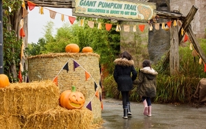 2025 10 09 A Giant Pumpkin Trail And Mystical Beasts Will Take Over Chester Zoo This Halloween