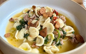 2025 08 11 Bruco Thumbnail