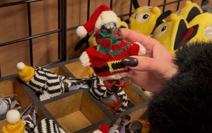 2025 11 20 Afflecks Pigeon