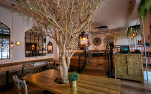 2024 11 20 Mowgli Leeds Thumbnail