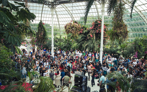 Liverpool Arab Arts Festival Sefton Park Palm House Ab Photography 3