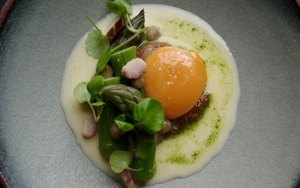 2026 04 28 Skof Asparagus