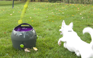 Automatic Ball Launcher Ls Dog 0262